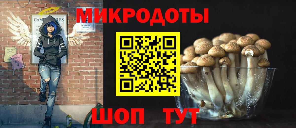 Воркута  Псилоцибиновые грибы мицелий  Вход с VPN  Псилоцибиновые грибы MAGIC MUSHROOMS 