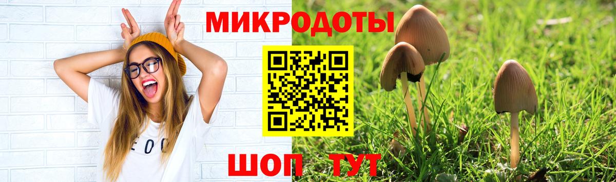 Галлюциногенные грибы мицелий Воркута
